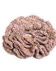 Ribbon Scrunchie • Giant