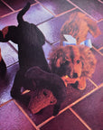 100 Years of Steiff 1880-198
