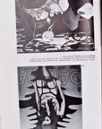 Erotic Art: 41 Color Plates 400 Black and White Plates
