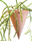 Polka Dot Hanging Planter