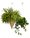 Polka Dot Hanging Planter