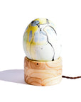 Marbled Ostrich Egg Lamp