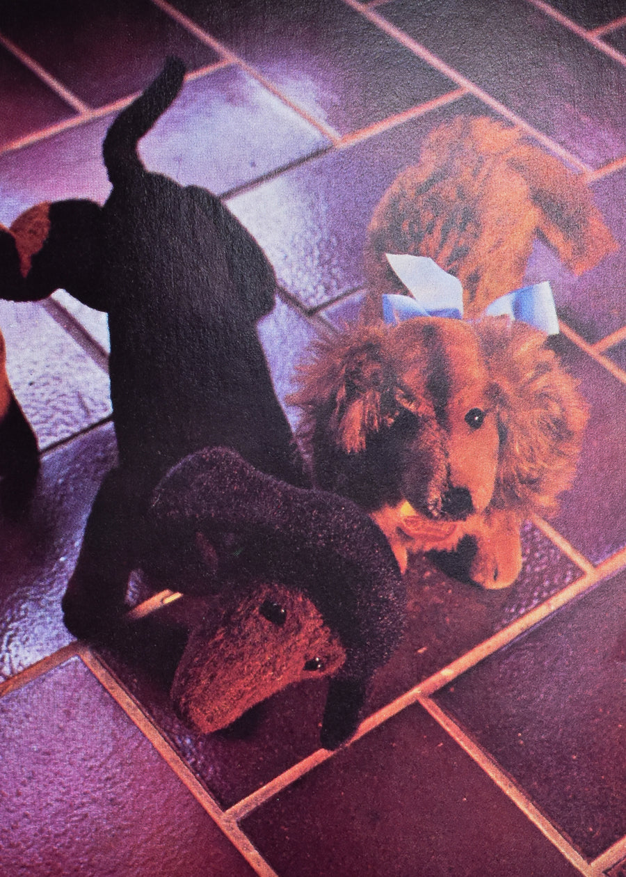100 Years of Steiff 1880-198