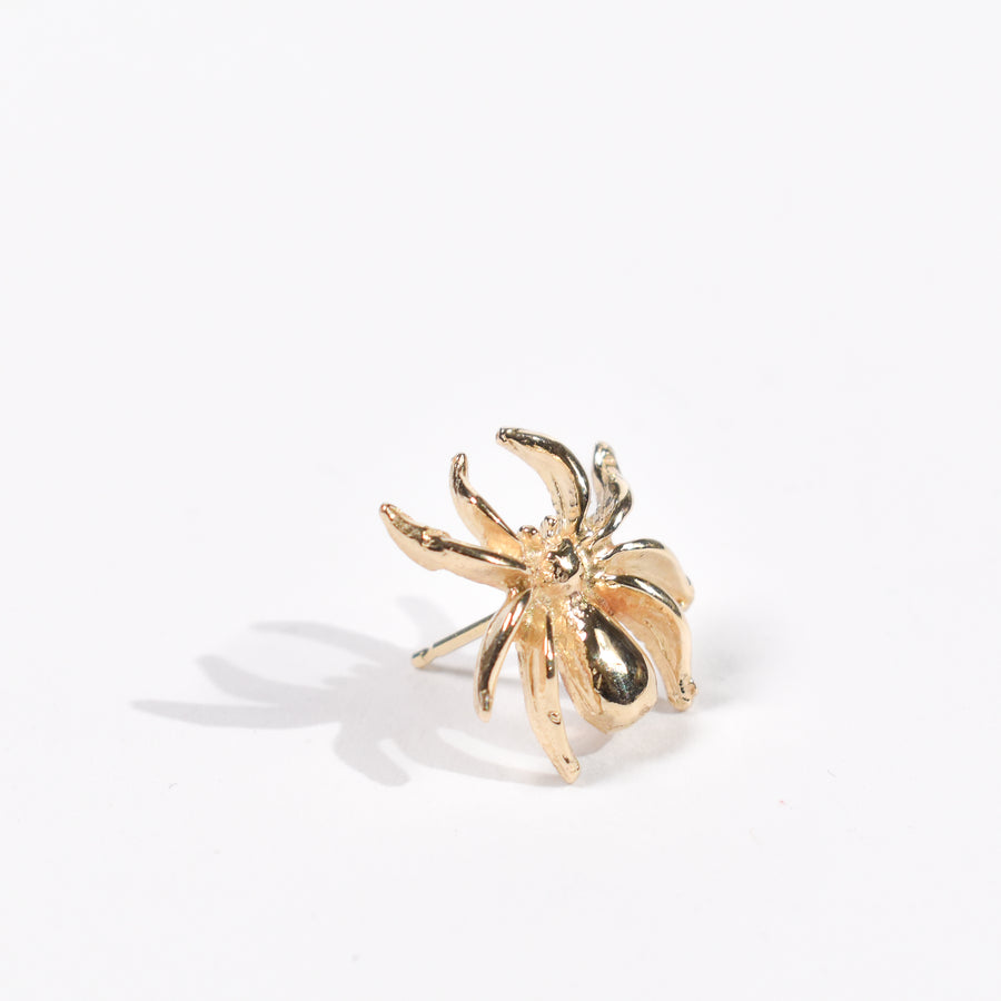 14kt Gold Earring • Spider