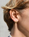 14kt Gold Earring • Spider